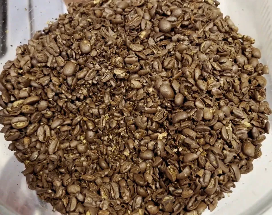 coffee grinded in a food processor