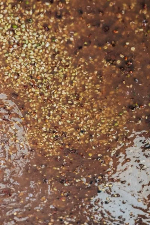 wet-processing java beans in indonesia